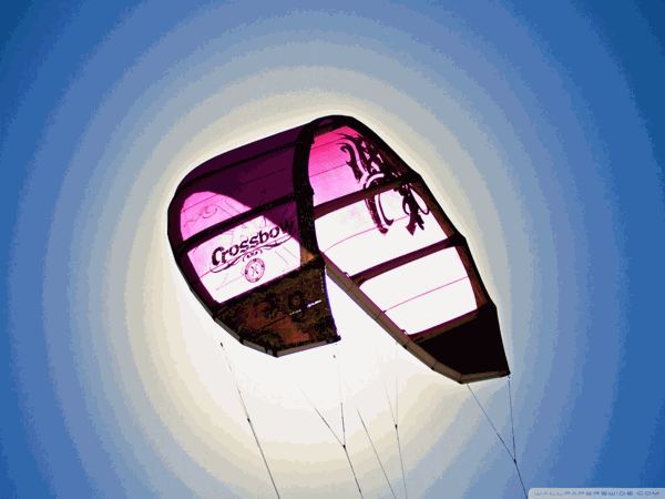 G40 CFX 512GB